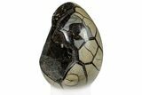 Septarian Dragon Egg Geode - Black Crystals #302862-1